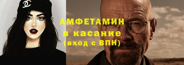 шишки Арсеньев