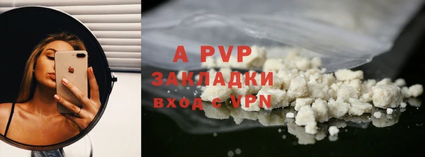 шишки Арсеньев