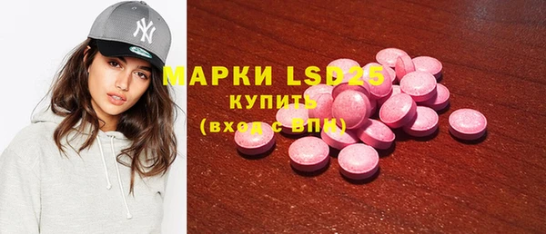 шишки Арсеньев