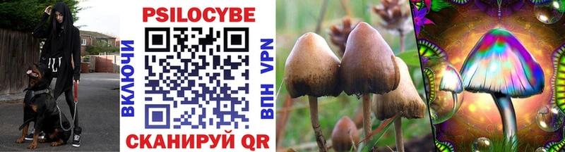 Галлюциногенные грибы мухоморы  Межгорье 
